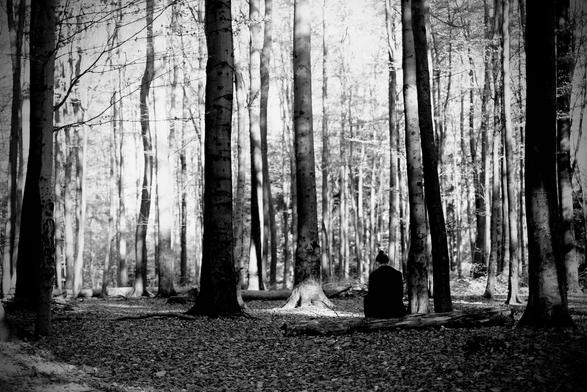 Schwarz-weiß-Foto einer Person, die alleine auf einem Baumstamm im Wald sitzt und dem Betrachter den Rücken zuwendet.