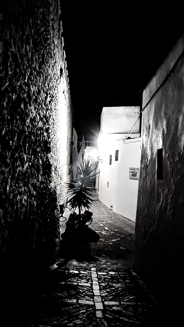 Eine leere Gasse in einer Altstadt bei Nacht. Nur eine Palme steht in einem Topf am Rand. Ansonsten wirkt alles leer und verlassen. Das Licht einer Laterne an einer Hauswand spendet Licht, Schatten und Kontraste.