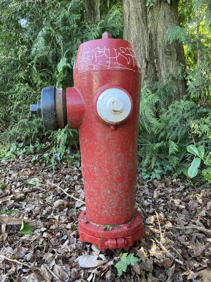 Fresh pen tagging on hydrant, but name is not recognized.