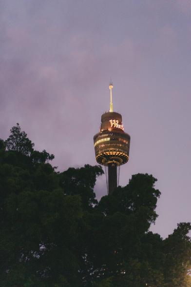 The image shows the Sydney Tower, a prominent structure in Sydney, Australia. It features the Westfield logo, and some trees are visible in the foreground. The photo seems to be taken during dusk or evening.