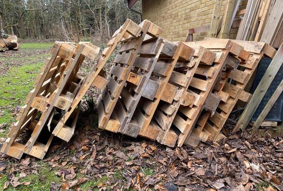 11 wooden pallets, they're leaning against each other. That's it really. They're pallets, leaning against each other.. I wish it was trash pandas, but no. Just wooden pallets.