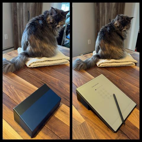 Two images. in the first you can see a 2 color 3D Printed truncated wedge. In the second you can see it with a remarkable tablet on it. 

in both images there  is a cat in the background, sitting on a towel and looking with interest towards the wedge.