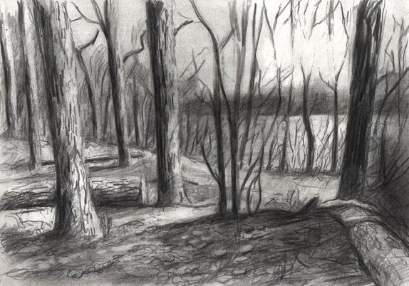 View on a river in sunlight and behind trees.