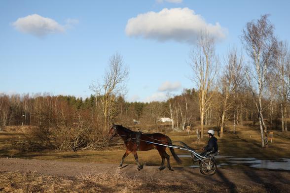 A photo of a person riding a cart pulled by a horse.