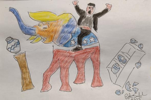 A drawing of Elon Musk riding the Republican elephant with the face of Donald Trump in a China (porcelain) shop. With obvious results.