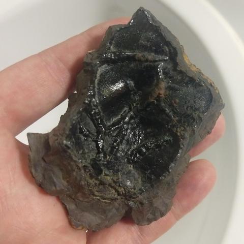 Inside view of the same rock fragment. Surface is smooth and looks like it had been somewhat viscose in the past. Some veins are visible.