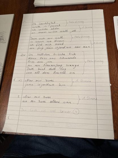 One paper page with the other half of the lyrics handwritten by Alex. Sorry, I felt too lazy about transcribing them.