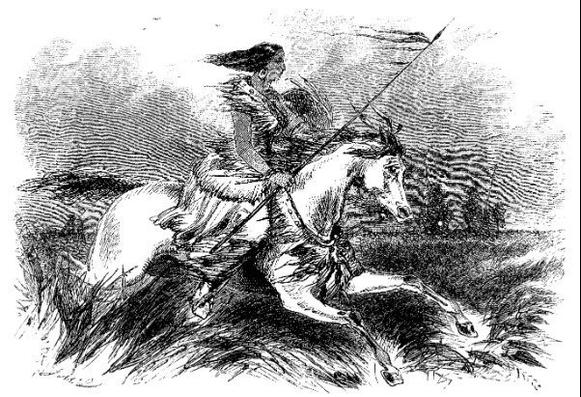 Illustration : Idealized illustration of Pine Leaf, by James Beckwourth