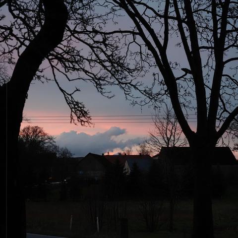 The image shows a rural scene at dusk. It features silhouetted trees and houses against a colorful evening sky with hues of pink and purple. The branches of the trees are prominently outlined, and there are power lines visible in the background.