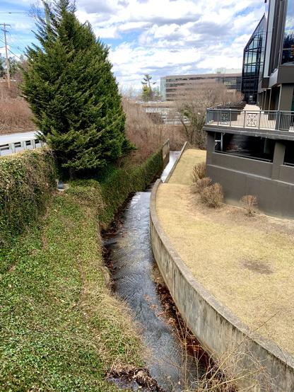 A view of a narrow waterway between a road and buildings. Ivies growing on the left bank cover the left wall of the waterway, while bare concrete walls are visible on the right side.