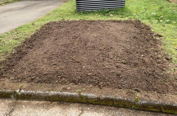 A 12 foot x 12 foot patch of bare wet soil onto which wildflower seed has been cast.