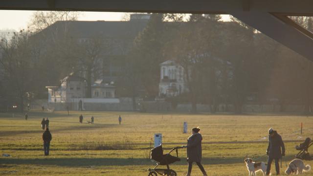 Kinderwagen, Hunde, Spaziergänger