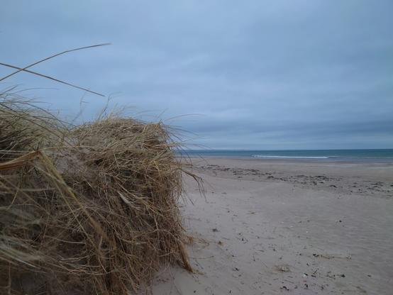 Dunes on a beach