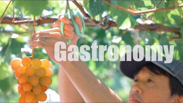【ティザー動画：大阪万博で公開の山梨県プロモーション動画！】自然環境、美酒美食体験、芸術・文化・伝統、イノベーションなど、魅力溢れる山梨県を紹介！