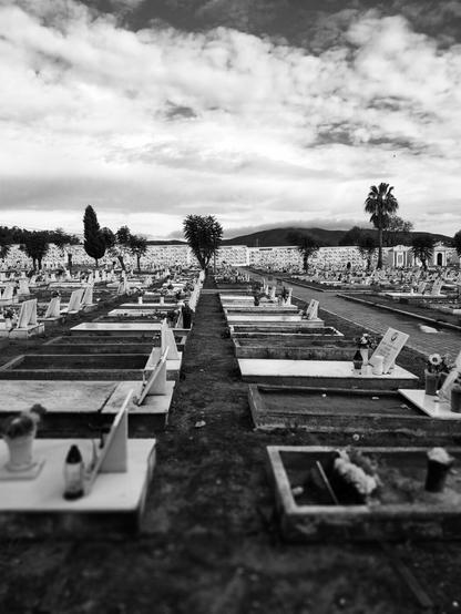 "Eternal Rest"
Quelfes. Portugal. 2025.03.03
RedMi Note 6Pro

#photography #sky #cemetery #cemiterio #wednesday #march #march #clouds #photomax8700