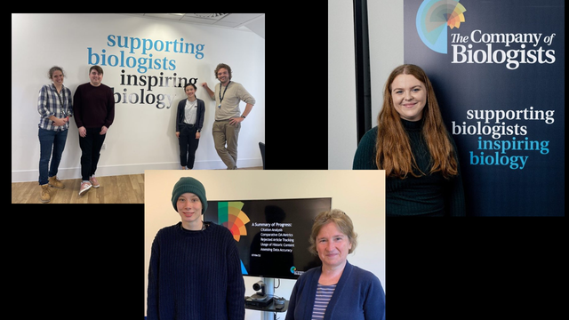 Three images of previous interns at The Company of Biologists -Ryan, Erin and Emily.