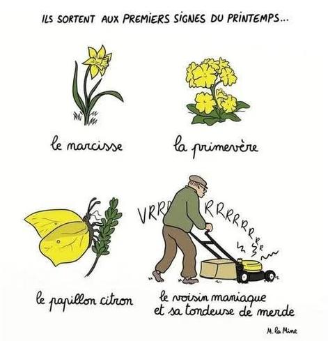 Infographie ironique déconseillant le passage précoce de la tondeuse.