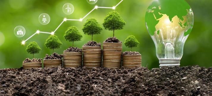 La eficiencia energética es clave para ahorrar y cuidar el medio ambiente. / Boy Wirat