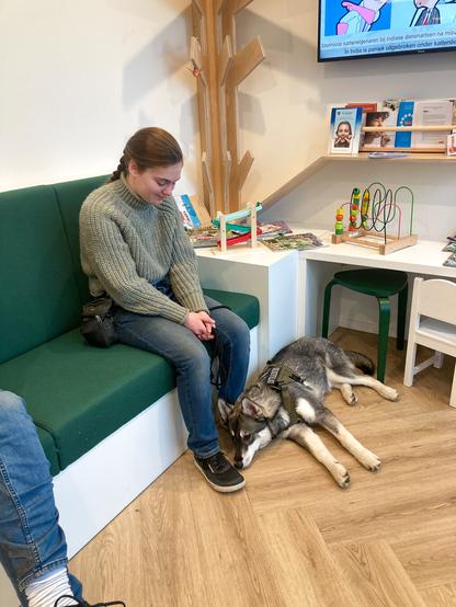 A teenage husky lies at someone’s feet in a waiting room.