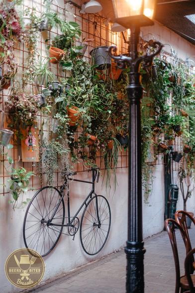 the wall is full of plants and there's a bicycle hanging