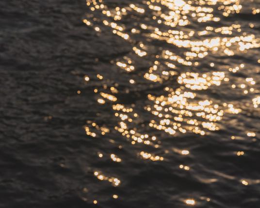 The image shows sunlight reflecting on the surface of water, creating a shimmering effect.