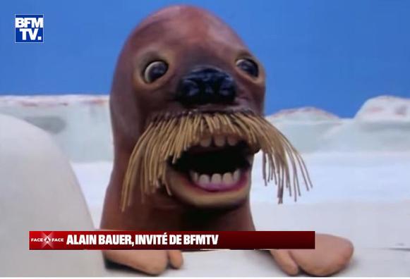 un morse géant de Pingu qui ressemble a Alain Bauer. avec ses mains qui dépassent de la banquise comme si c'était un bureau.
Avec le logo BFM TV sur le coté et "Alain Bauer, invité de BFMTV" comme titre (fil ? )