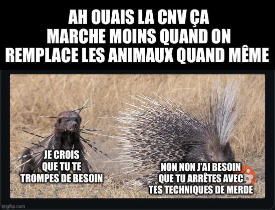 ALT : meme qui présente un ratel hérissé de piquants de porc-épic, et visiblement choqué et déçu, et du porc-épic sus nommé qui lui tourne le dos comme un prince. Le ratel dit, caricaturant la posture d’un tenant de la CNV « je crois que tu te trompes de besoin », ce à quoi le porc-épic répond « non non j’ai besoin que tu arrêtes avec tes techniques de merde ». Le tout est précédé de la légende « ah ouais la CNV ça marche moins quand on remplace les animaux quand même »