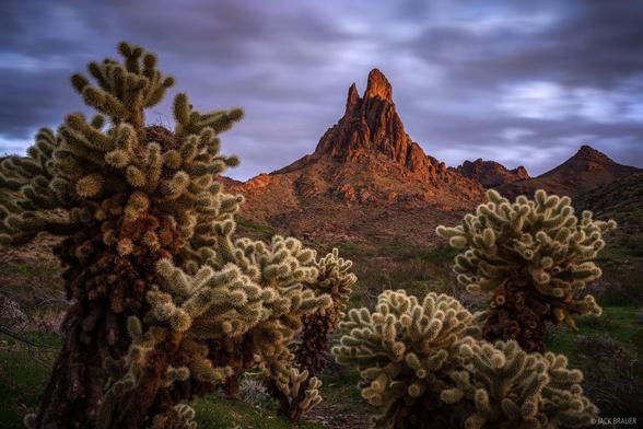 Dusk glow on Cathedral Rock in the Black Mountains of Arizona, framed by cholla cactus.