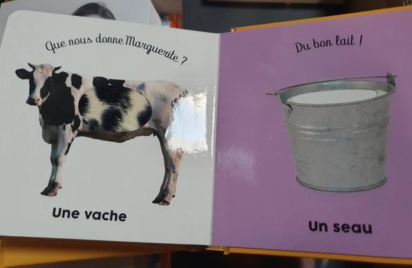 Photo d'une livre pour enfant ouvert sur deux pages : à gauche une vache avec écrit au dessus "que nous donne marguerite ? " et à droite un seau de lait avec écrit au dessus "du bon lait !"