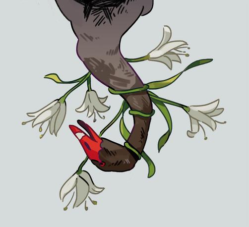 A bust painting of a black swan, upside-down, with white lilies wrapping around its neck.