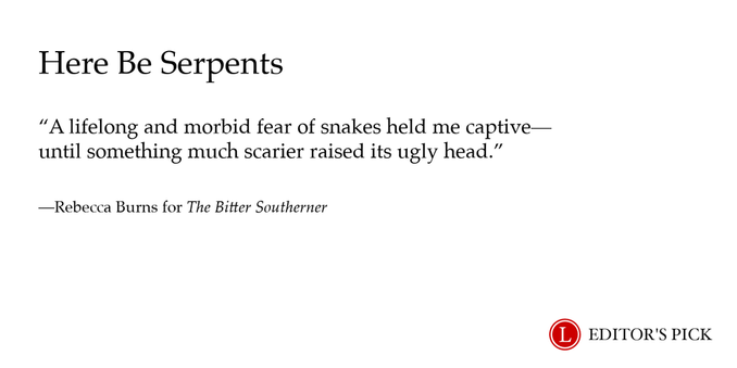 Headline:  Here Be Serpents 

Dek: A lifelong and morbid fear of snakes held me captive — until something much scarier raised its ugly head.

Tagline: Rebecca Burns for The Bitter Southerner

A logo in the bottom right reads “Longreads Editor’s Pick”