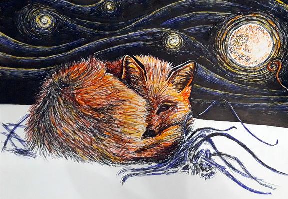 The drawing is in horizontal orientation. There's a fox, some stars, the moon, swirly patterns in the sky, grass and snow. The fox is positioned slightly to the left of the center. It is curled up with both the tail and its head facing the viewer. Its back is on the left and head on the right side of the image. It's right eye is visible and is looking directly at the viewer.  Its ears are perked up. The fox is drawn with black, brown, orange and yellow colours. There is some grass around the fox. A few grass blades are behind and to the left of the fox and a large grass tuft in front and to the right of the fox. The grass is drawn with black and blue to indicate its frozen and dead. Below the fox is clear white snow. There are three stars above the fox. The stars have glowy swirls around them and the swirls move from star to star like waves in water. The stars are yellow and white. The moon is at the top right corner of the image. It has a halo around it. Its yellow, white and brown.