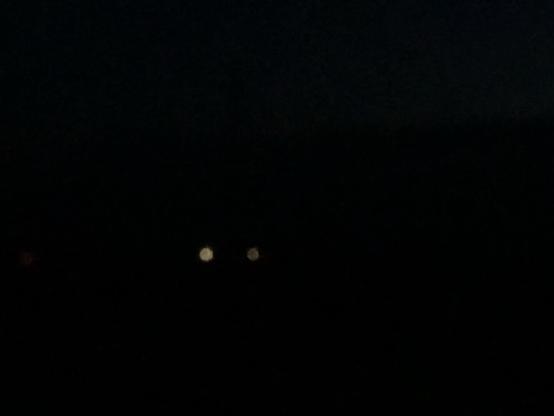 Marfa lights (https://en.wikipedia.org/wiki/Marfa_lights).