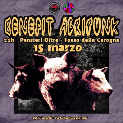 Benefit Agripunk 
Ore 22:00 il 15 marzo
Suoneranno: Pensieri oltre & Fosso della Carogna

Al csa G. Cimarelli in Via del Lanificio 19a, Terni