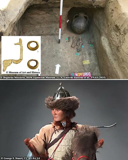 Genetic study reveals origin and diversity of Huns

The origins of the Huns, the formidable nomad warriors who changed European history in the late fourth century, have been a topic of discussion among scholars. In the past, experts thought the Huns descended from the Xiongnu, an empire that ruled the Mongolian steppe but collapsed around 100 CE. However, the 300-year gap between the Xiongnu’s collapse and the emergence of the Huns in Europe has been a mystery in history. A recent genetic study now sheds new light on this old question.

A team of geneticists, archaeologists, and historians conducted an analysis of 370 ancient genomes. These samples span about 800 years, from 200 BCE to 600 CE. The research didn’t find evidence of a large, united group of Asian or steppe origin among the Huns in the Carpathian Basin. Instead, the genetic landscape was diverse, hinting that the Huns didn’t arrive as a single migrating group but as a mix of different peoples. However, a few people buried in elite “eastern-type” graves—often linked to nomadic traditions—showed clear East Asian genetic markers...