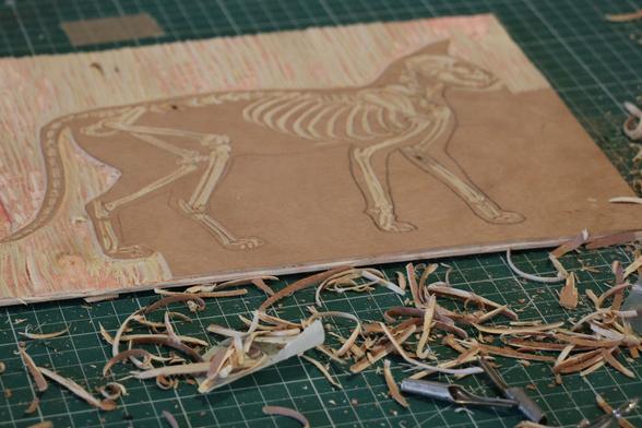 woodcut, engraving of a cat's skelton