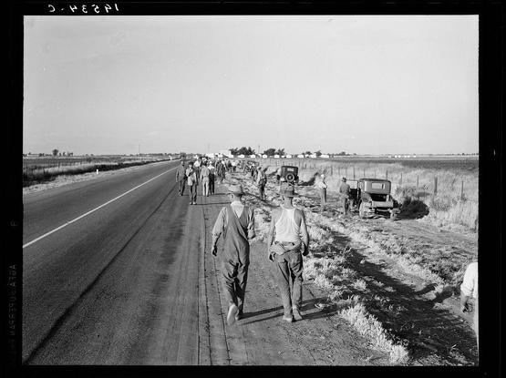 The image is a black and white photograph depicting a group of people walking alongside a rural road. It appears to be taken during the day, as evidenced by the bright sunlight casting shadows on the ground.

There are at least eight individuals visible in this scene, all dressed in casual or work attire such as hats, shirts, trousers, and overalls which suggests they may have been working prior to starting their walk alongside the road. The people seem engaged in conversation with each other while walking down the rural path beside a paved roadway.

The surrounding environment is semi-arid with dry grasses and sparse vegetation indicating that it could be late summer or early autumn when cotton harvesting typically occurs. Behind them, there's an expanse of farmland bordered by fencing which indicates agricultural activity might be taking place in this region. There are also several old-fashioned cars parked off the road suggesting some form of transportation is used for commuting.

On closer inspection one can notice a man wearing what appears to be overalls walking with his foot raised, possibly mid-stride as he takes steps along side the road which adds movement and life to the scene. The photo evokes an atmosphere of rural life where communities may rely on manual labor such as cotton harvesting for their livelihood.

The title or context provided is "Untitled," but it gives additional details about its possible loc [...]