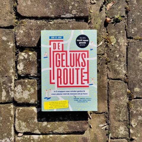 A close-up of a book lying on a brick patio. The cover is light green with white trails going in different directions. The title in red translates to "the road to happiness"