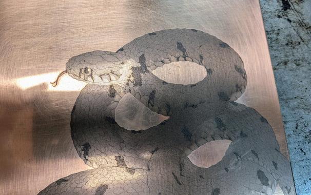 Close up photo of the copper plate used to print the snake.