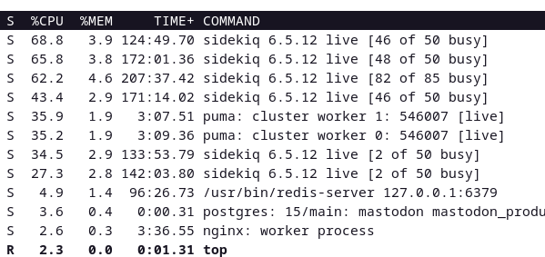 Very busy pile of processes in sidekiq