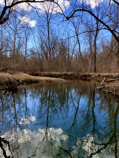A creek winds through the woods on a partly sunny day, its waters gently rippling. The blue sky, scattered clouds, and surrounding trees are reflected on the surface of the creek.