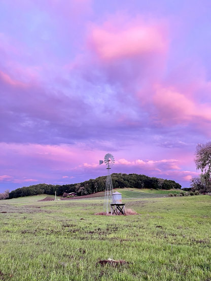 A sunset scene with green grass and a windmill in the foreground