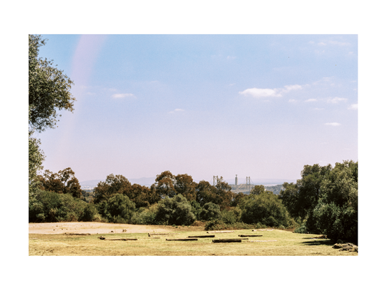 a park situation with logs and trees, in the background a bridge over tejo river and the cristo rei statue, pink stripe and white clouds in the sky