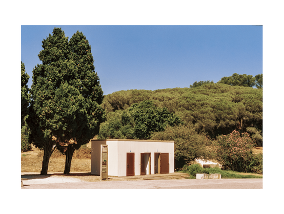 a park situation with a tiny bathroom house and two trees in the foreground, bushes on a hill in the background