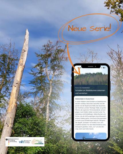 Im Hintergrund ein durch die Buchenvitalitätsschwäche geschwächter Wald, teilweise sind Stämme schon abgestorben, Kronen licht. Im Vordergrund ein Mock-Up eines Smartphones, darauf zu sehen die erste Folge der beschriebenen Story-Serie.