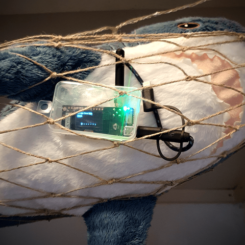 Ikea shark plushie and a meshtastic node chilling together in a knotted hammock-like net