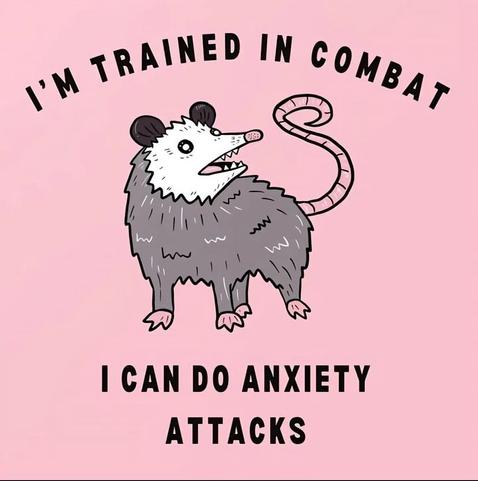 Drawing of an opossum on a pink background with text that says:
I'm trained in combat.
I can do anxiety attacks.