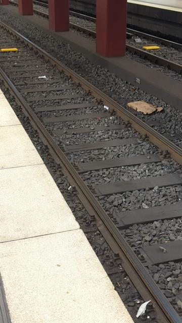 Es sind zwei weitere Gleise um U-Bahnhof Frankfurt Hauptbahnhof zu sehen, ebenfalls mit Balisen
