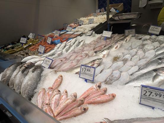 Different types of fresh fish in a fish shop