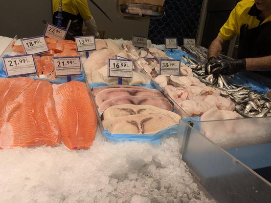 Different types of fresh fish in a fish shop